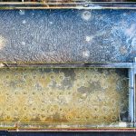 Innovatieve waterbeluchting en automatisering transformeren de glastuinbouwsector